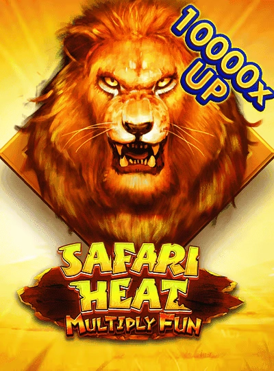dbc888 new game